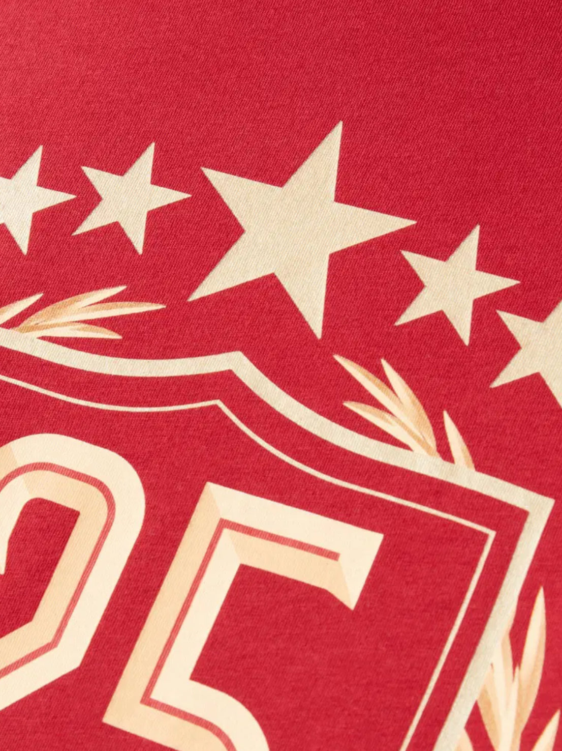 Galatasaray 25 Şampiyonluk Çocuk T-Shirt Kirmizi
