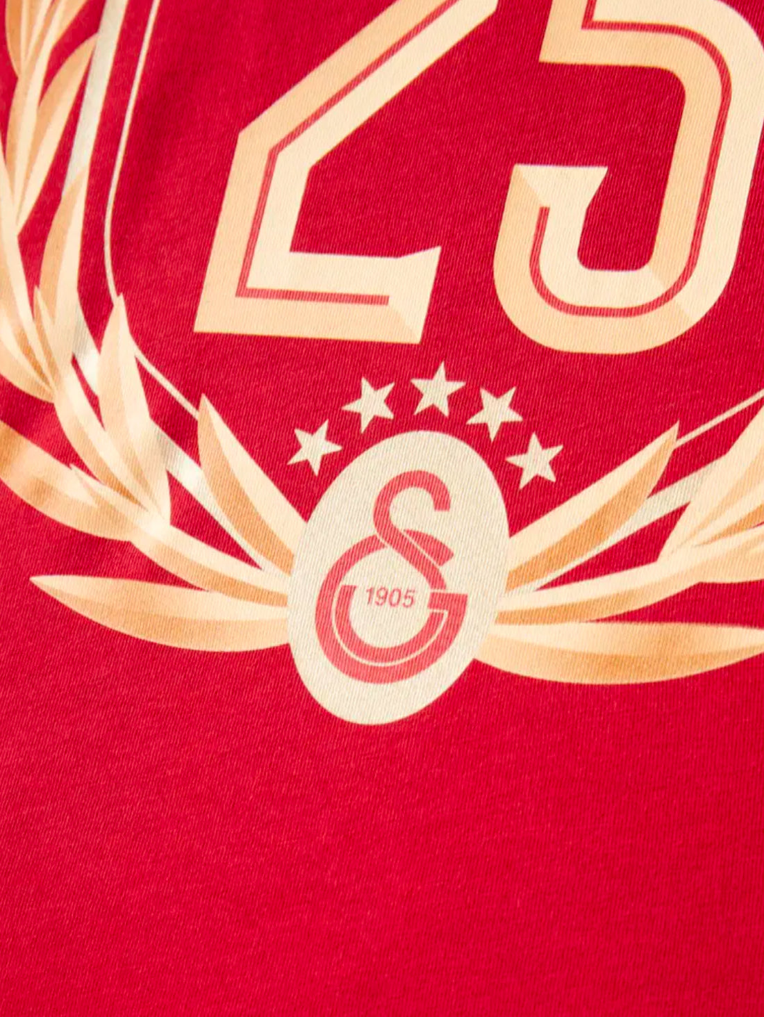 Galatasaray 25 Şampiyonluk Çocuk T-Shirt Kirmizi