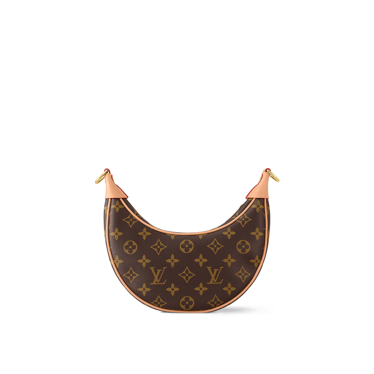 LV Loop Bag