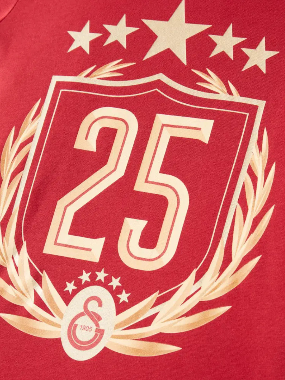 Galatasaray 25 Şampiyonluk Çocuk T-Shirt Kirmizi