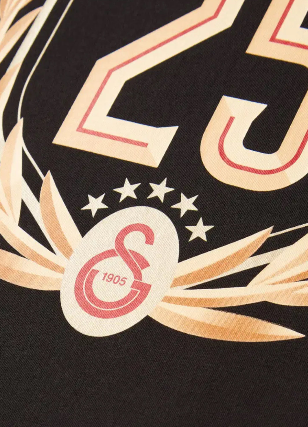 Galatasaray 25 Şampiyonluk Çocuk T-Shirt Siyah