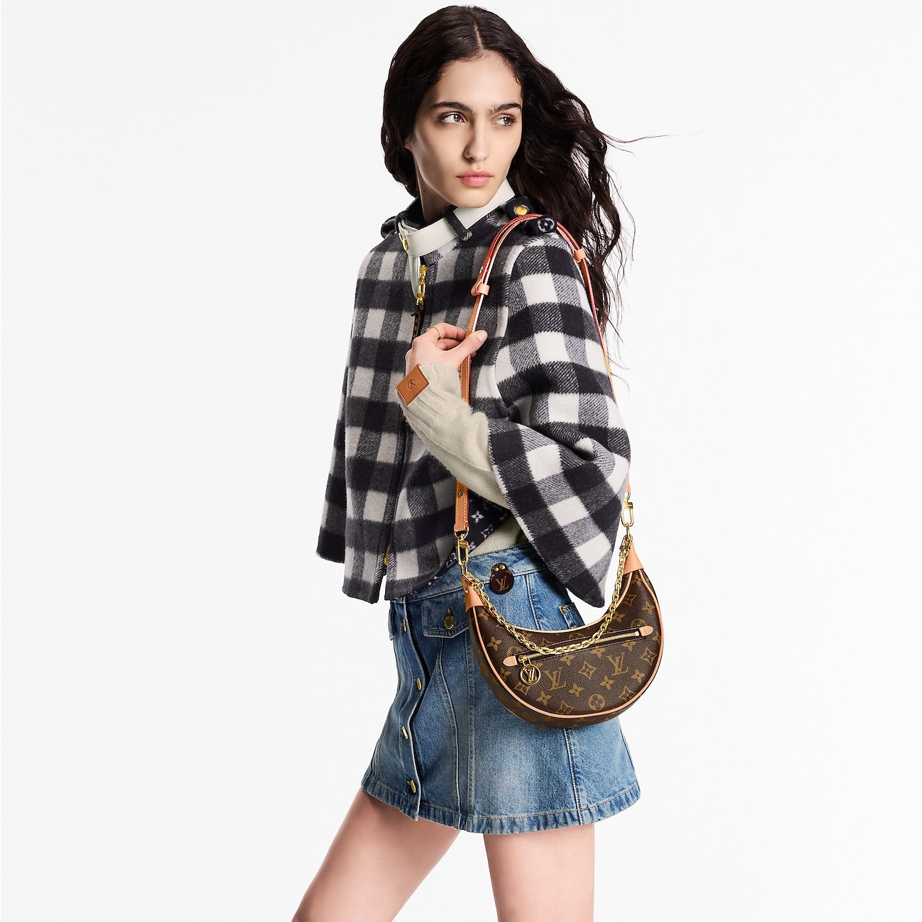 LV Loop Bag