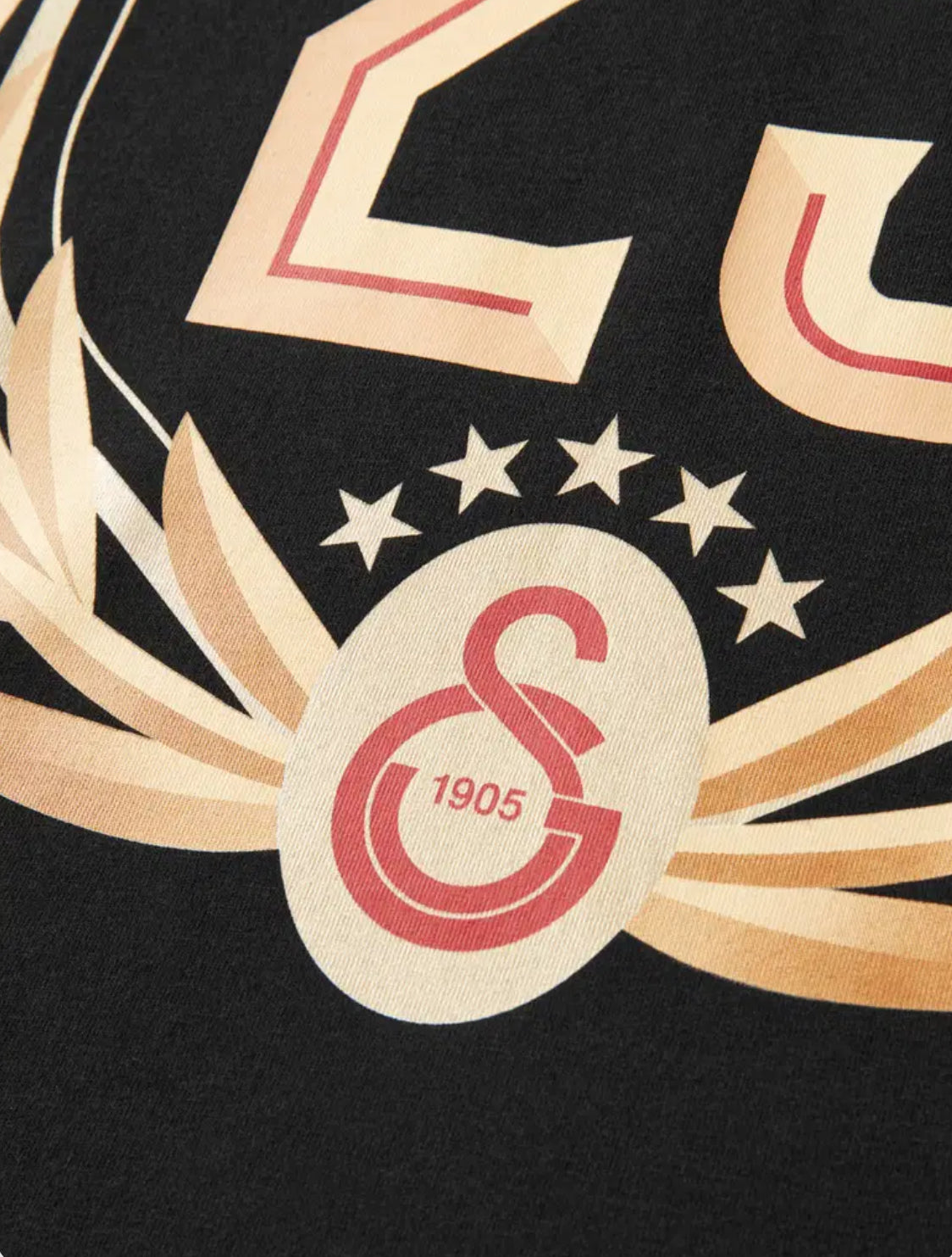 Galatasaray 25 Şampiyonluk T-Shirt Siyah