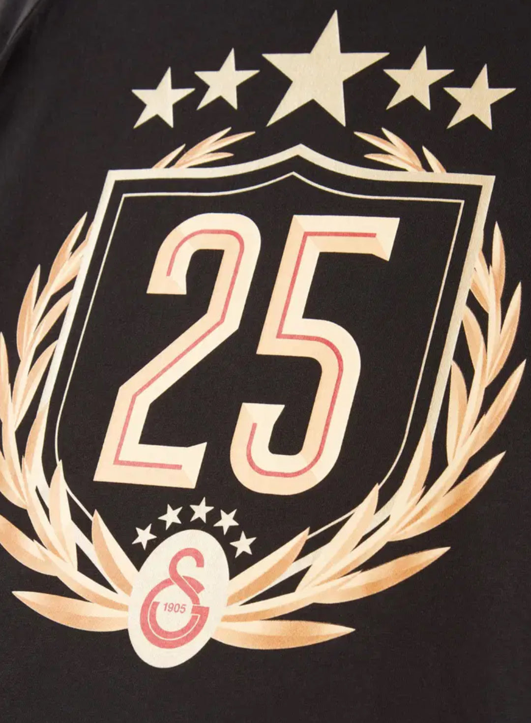 Galatasaray 25 Şampiyonluk Çocuk T-Shirt Siyah