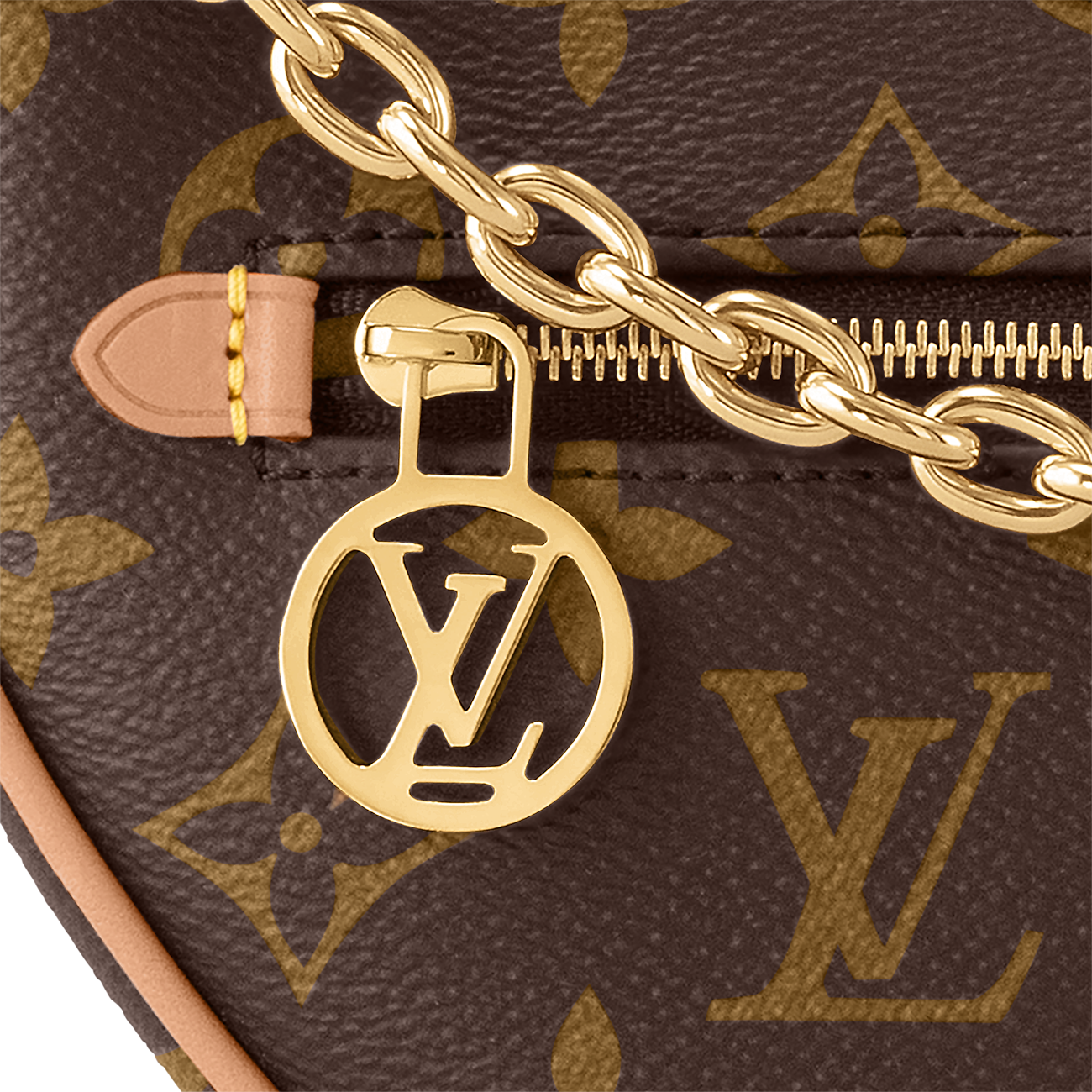 LV Loop Bag