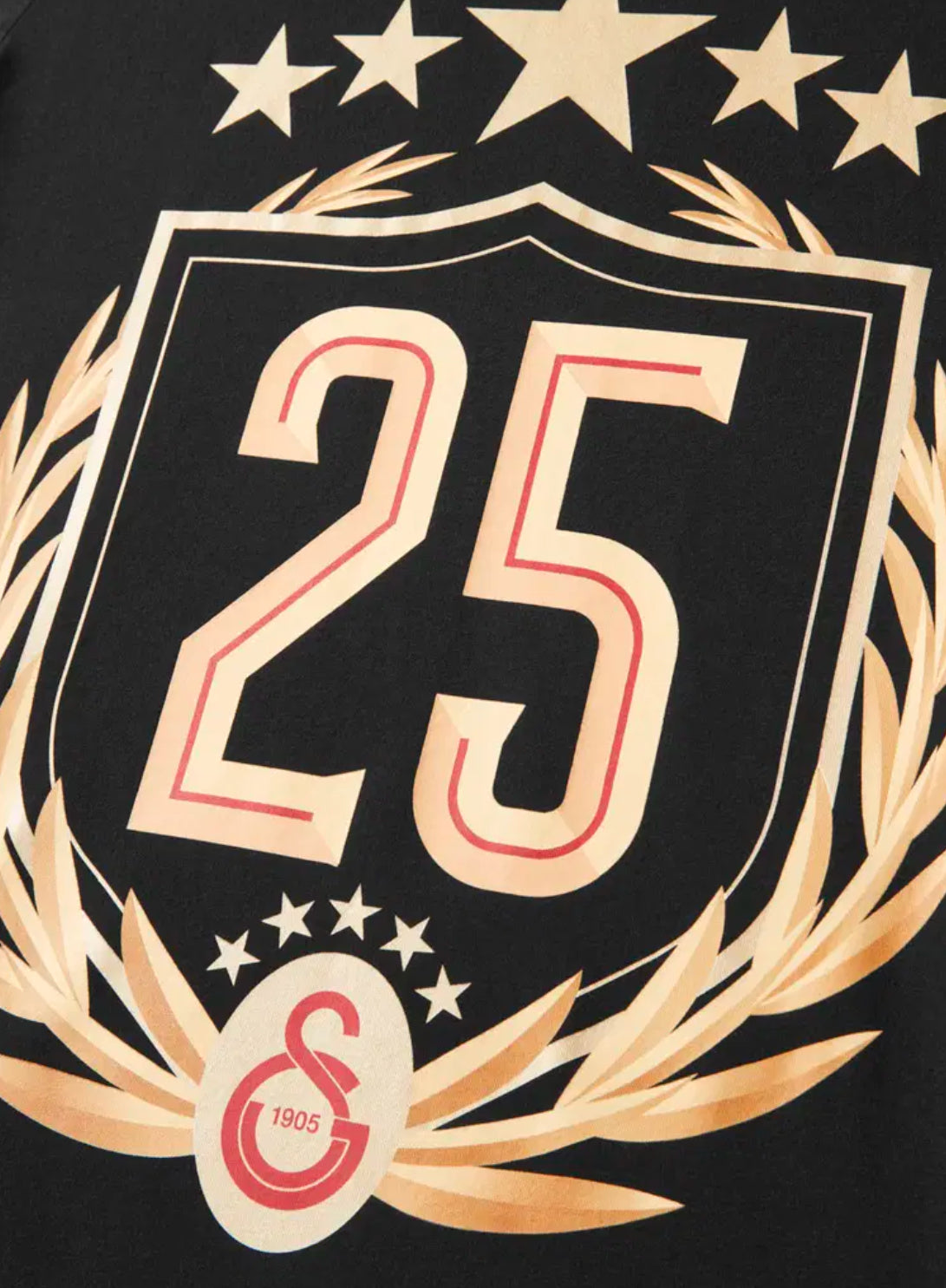 Galatasaray 25 Şampiyonluk T-Shirt Siyah