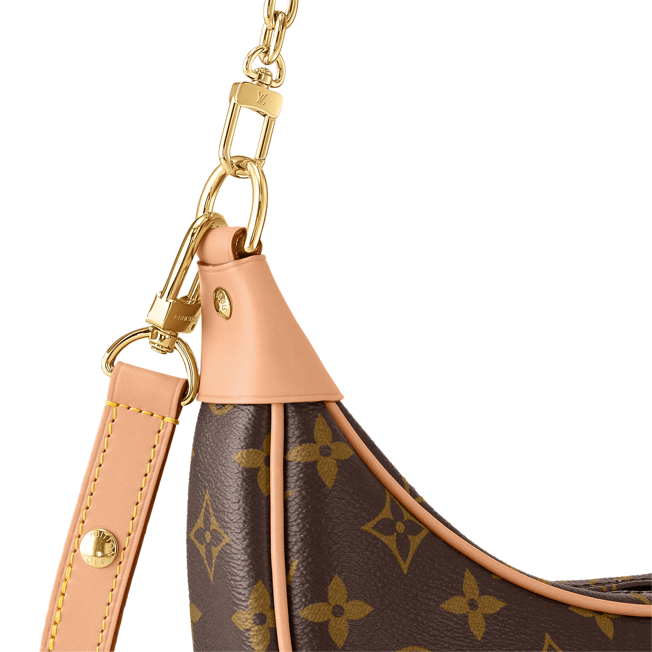 LV Loop Bag